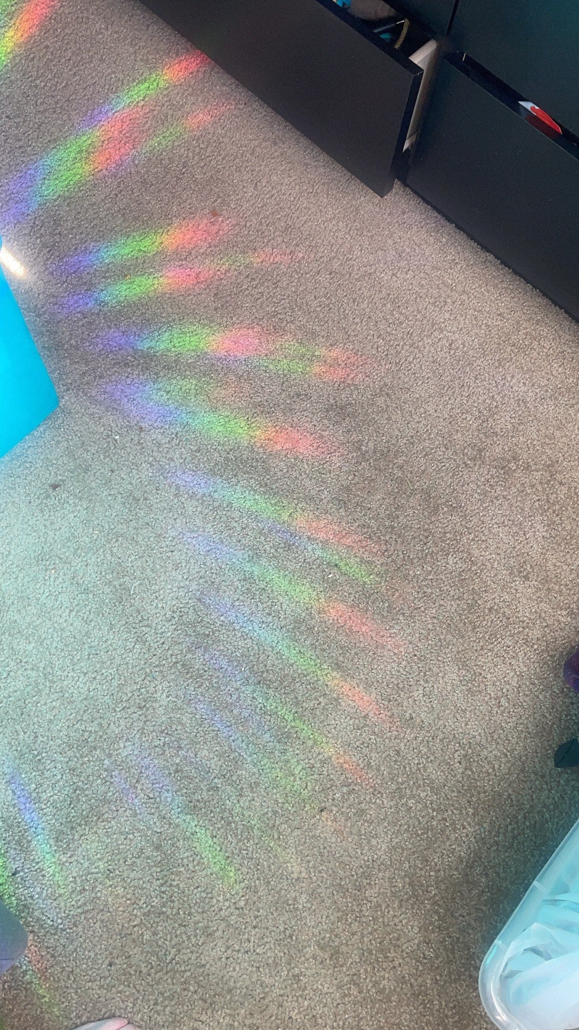 Watercolor Orca Whale Sun Catcher Window Decal, Killer Whale Decal, Sun Catcher, Rainbow Prism, SummerStyle Bracelets