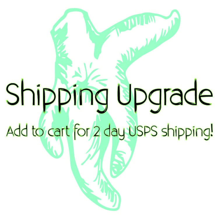 SHIPPING UPGRADE - USPS 2 Day