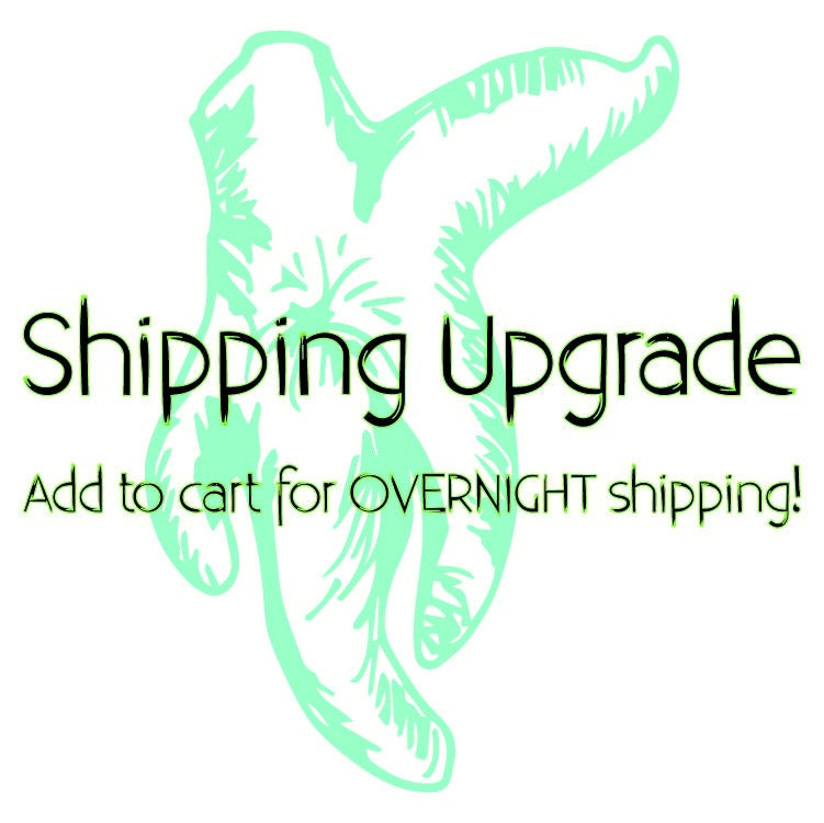 SHIPPING UPGRADE - USPS Overnight